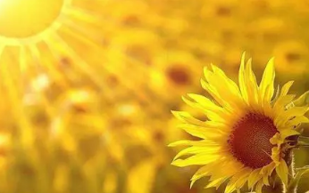 微信截图_20211231164925