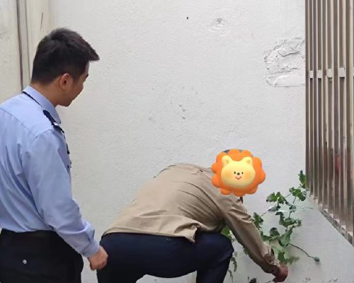 微信图片_202305101619468_副本