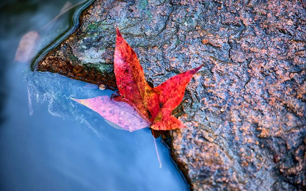 f3eb360f68506d42b83e3451405c9b8