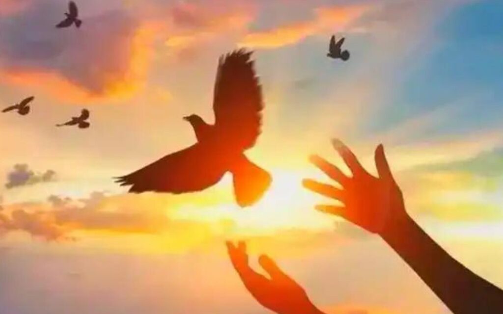 71e9be442e57c4512f2d0871591f28b_副本