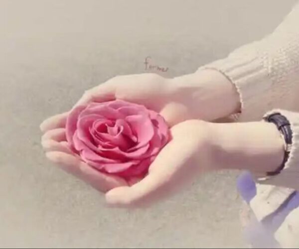 556ef023f7355ccc89b53885bc0ff7e 556ef023f7355ccc89b53885bc0ff7e