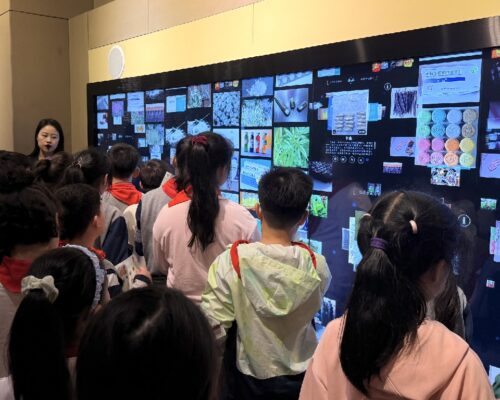 微信图片_20250425111158 微信图片_20250425111158