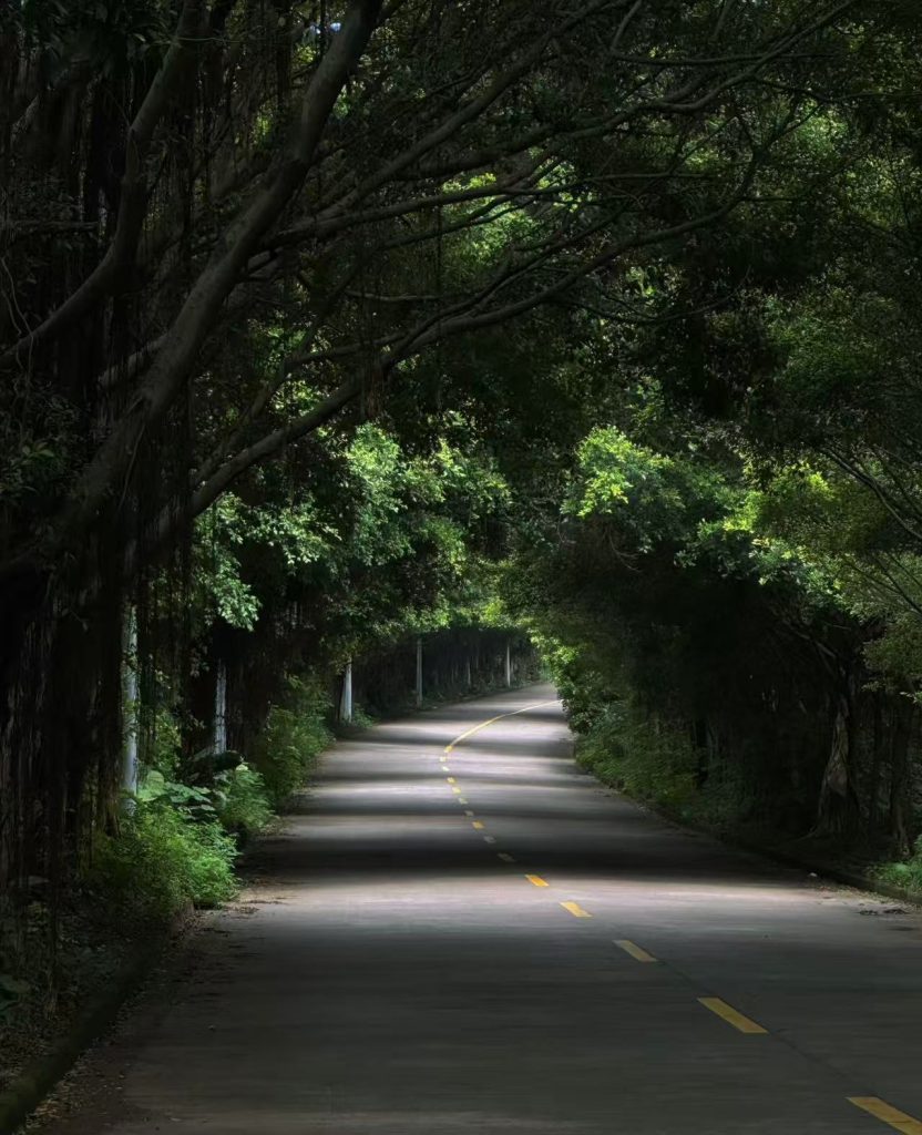二十六岁那年夏天,小超在物流公司上班,每日下班都被一身酸痛缠裹。工友老赵递来一支“特别”的烟,眼神神秘:“试试这个,能消所有累。”他犹豫片刻接了过来——那烟确实驱散了疲惫与现实的不如意,却在次日卷着加倍的疲惫与蚀骨的渴望反扑。从此,小超陷入了毒品的泥沼。